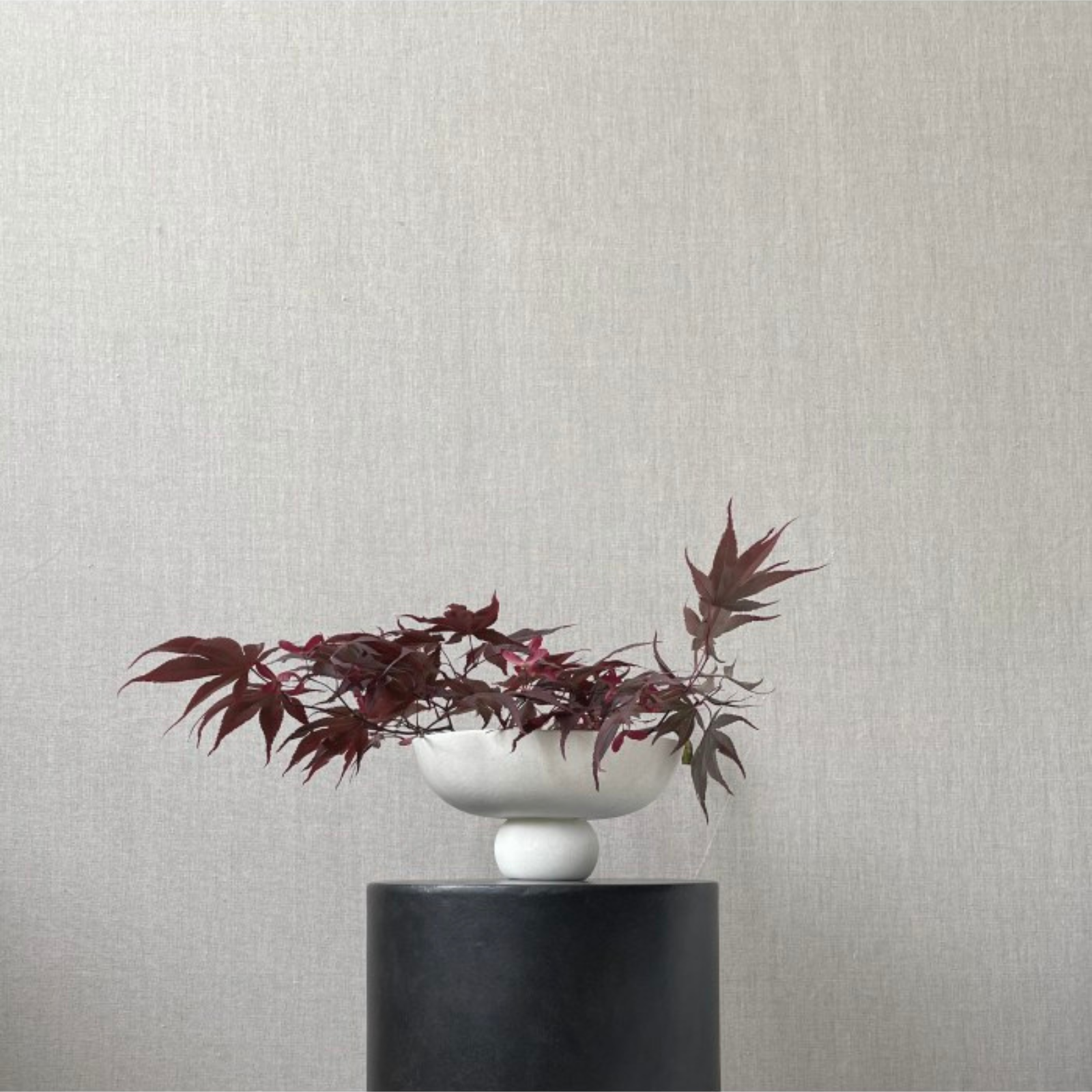 101 Baburu White ex 2