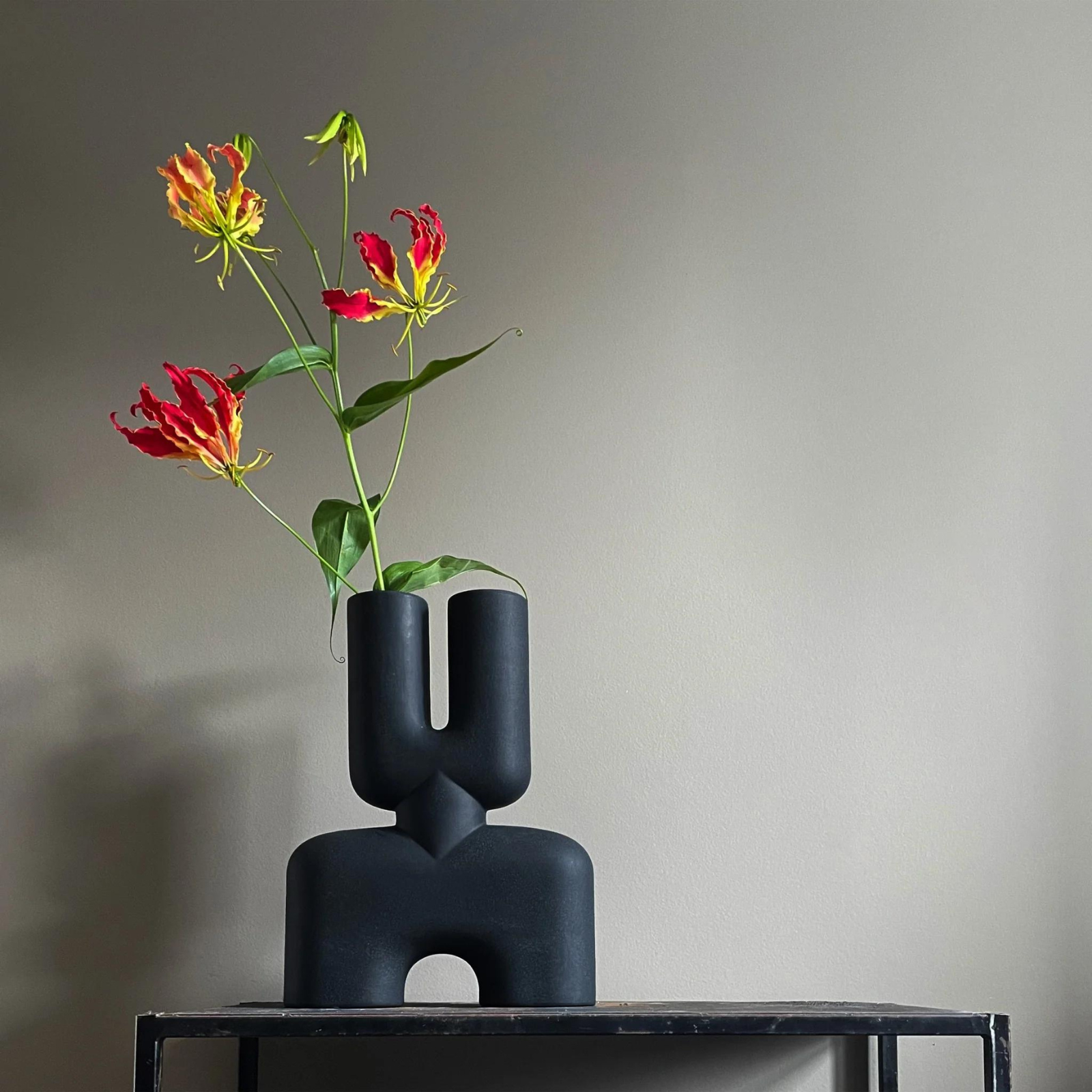 101 CObra Double Medio