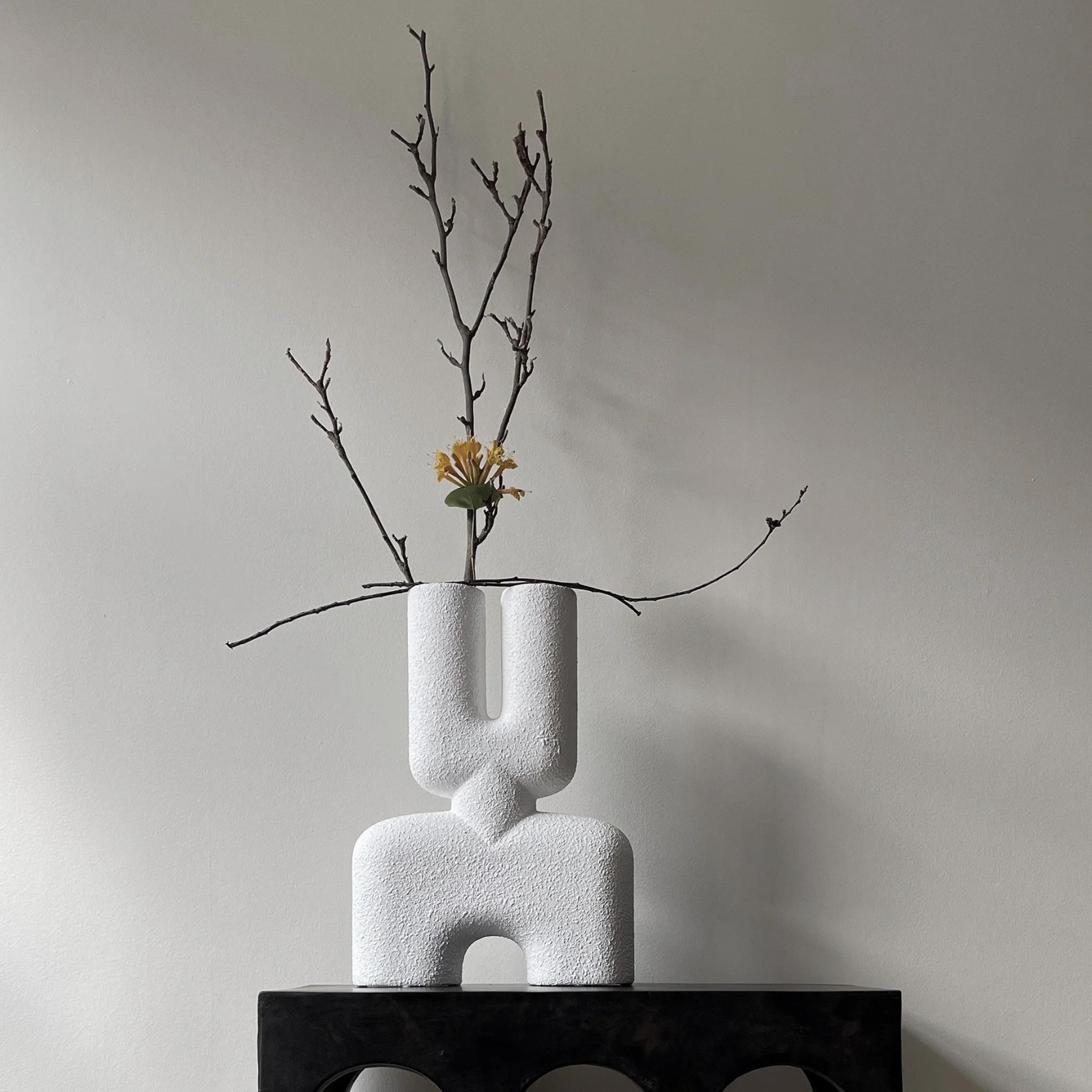 101 CObra Double Medio