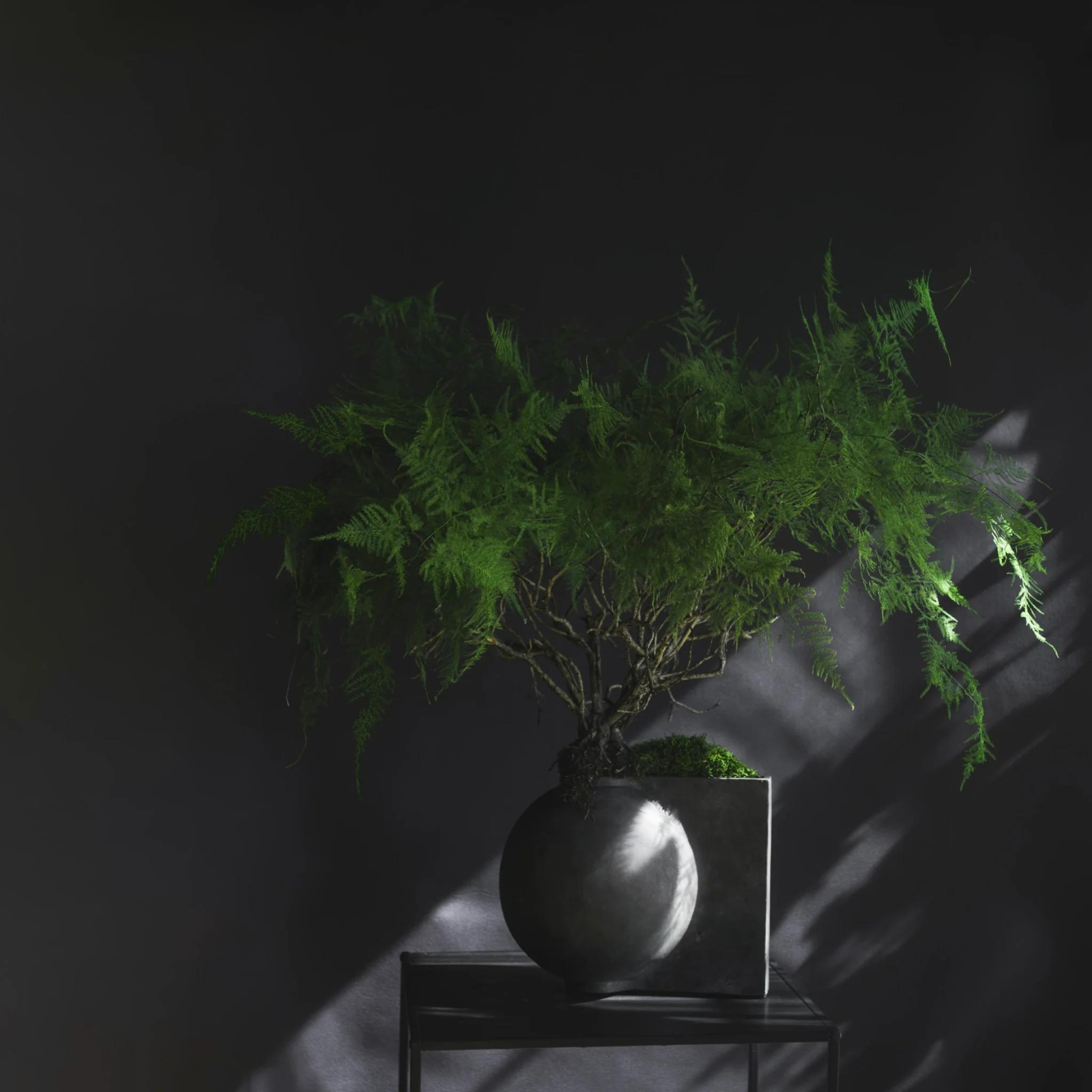 Offset, Mini | Vase