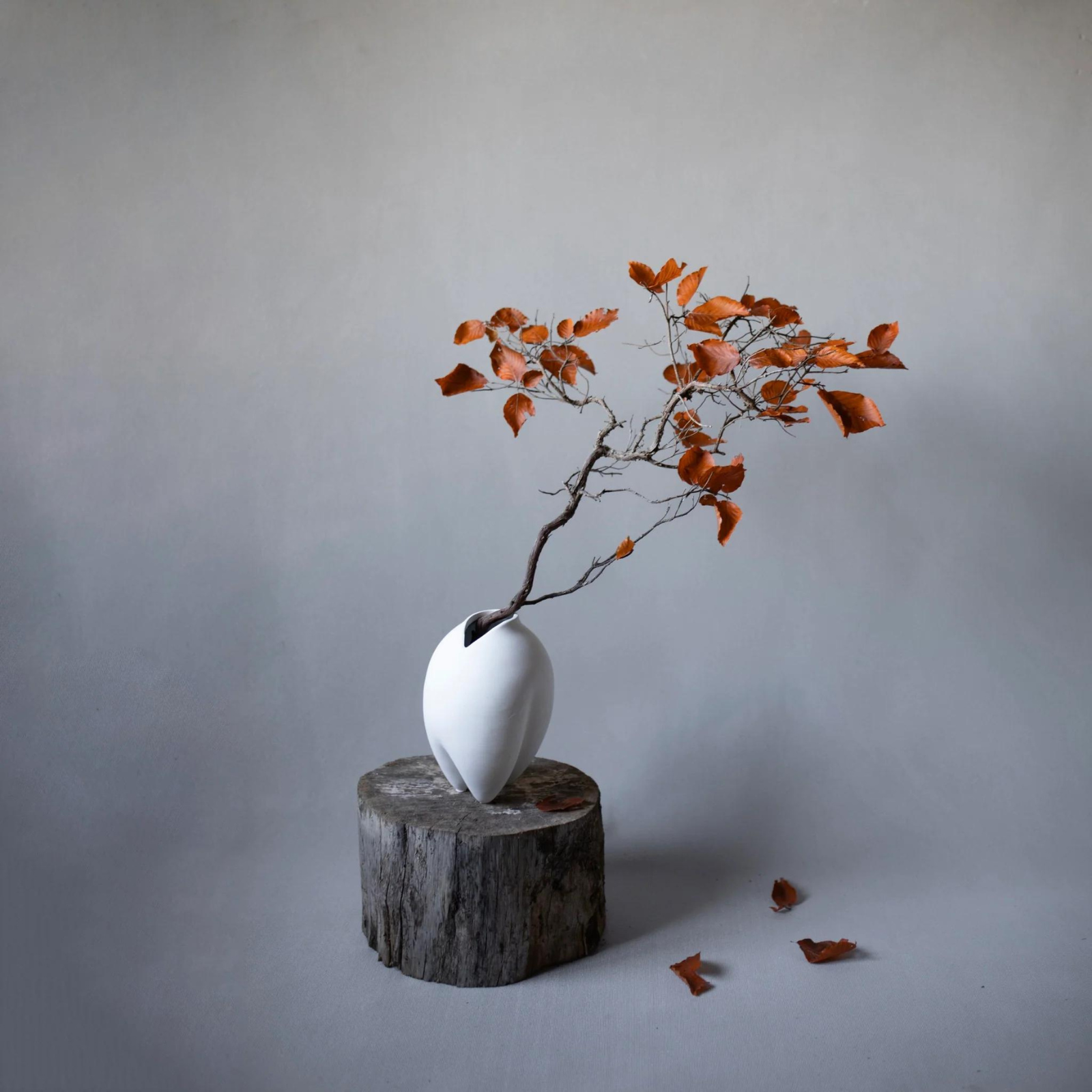 Sumo, Slim Petit, Bone White | Vase (Warehouse Sale)