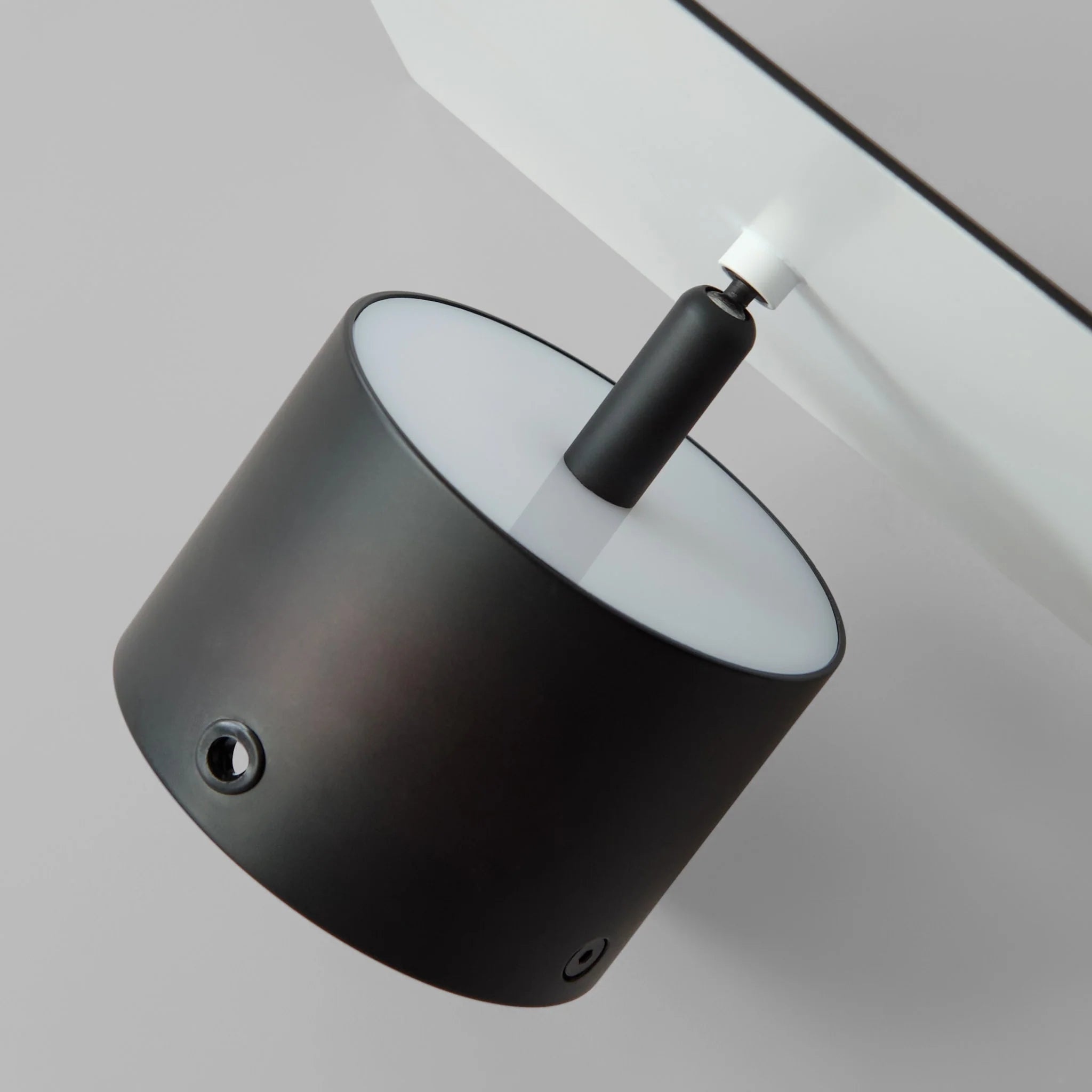 Chameleon Wall Lamp - Burned Black