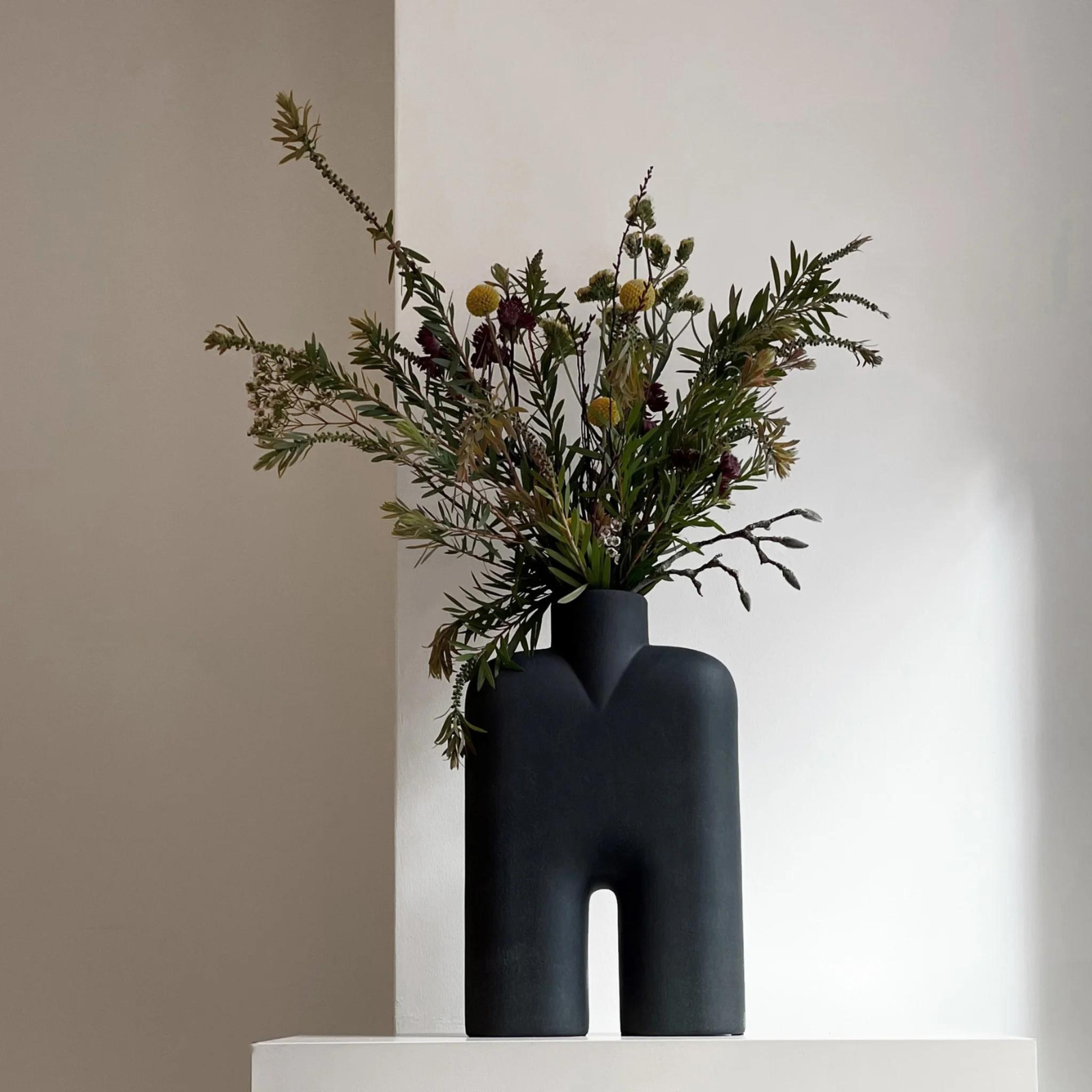 101 Cobra Tall Medio