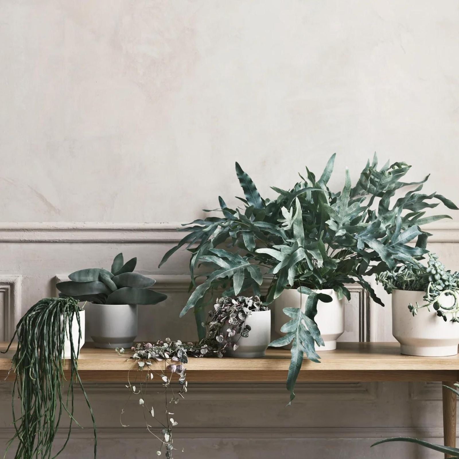 Gap, White | Flowerpot (Warehouse Sale)