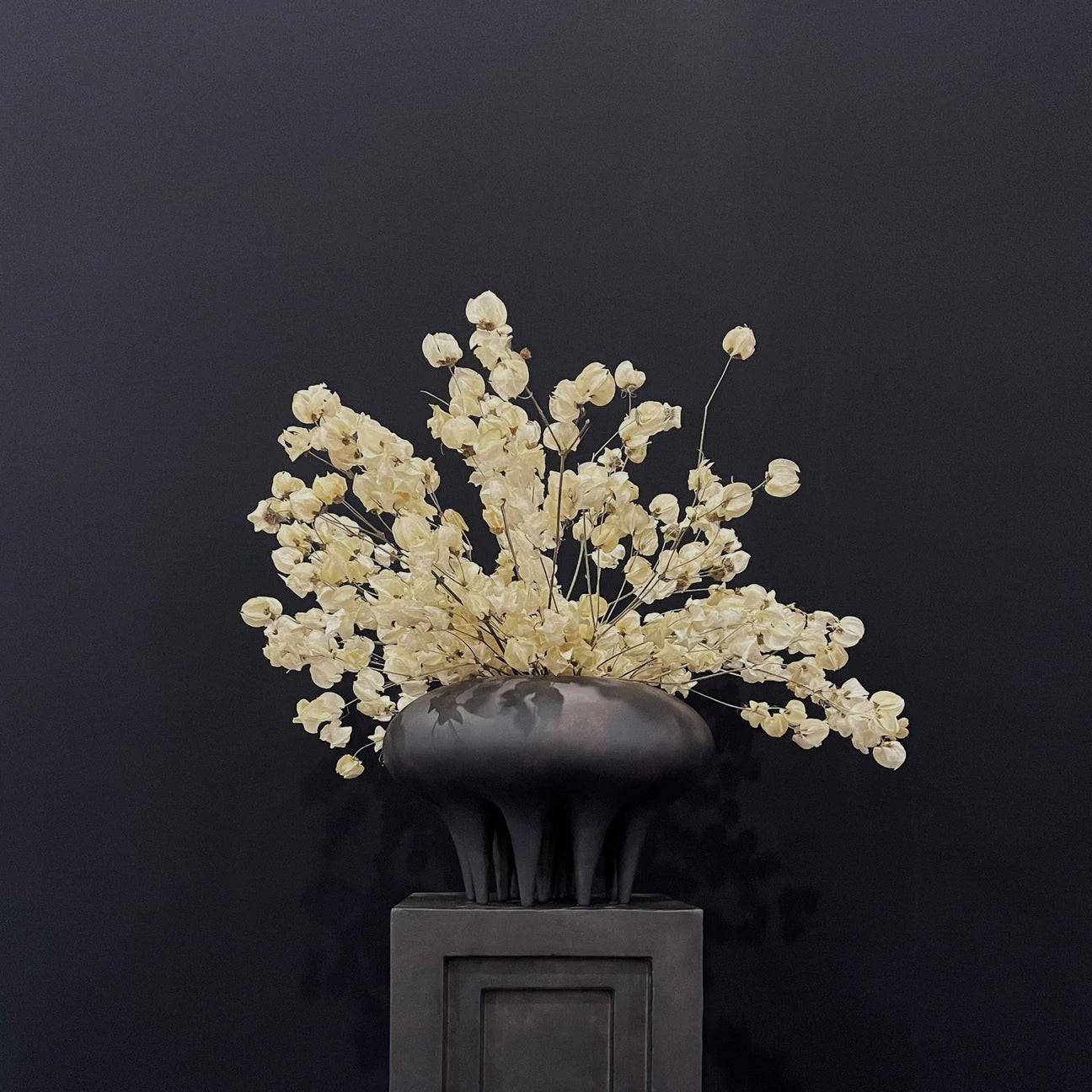 Medusa Vase | Coffee