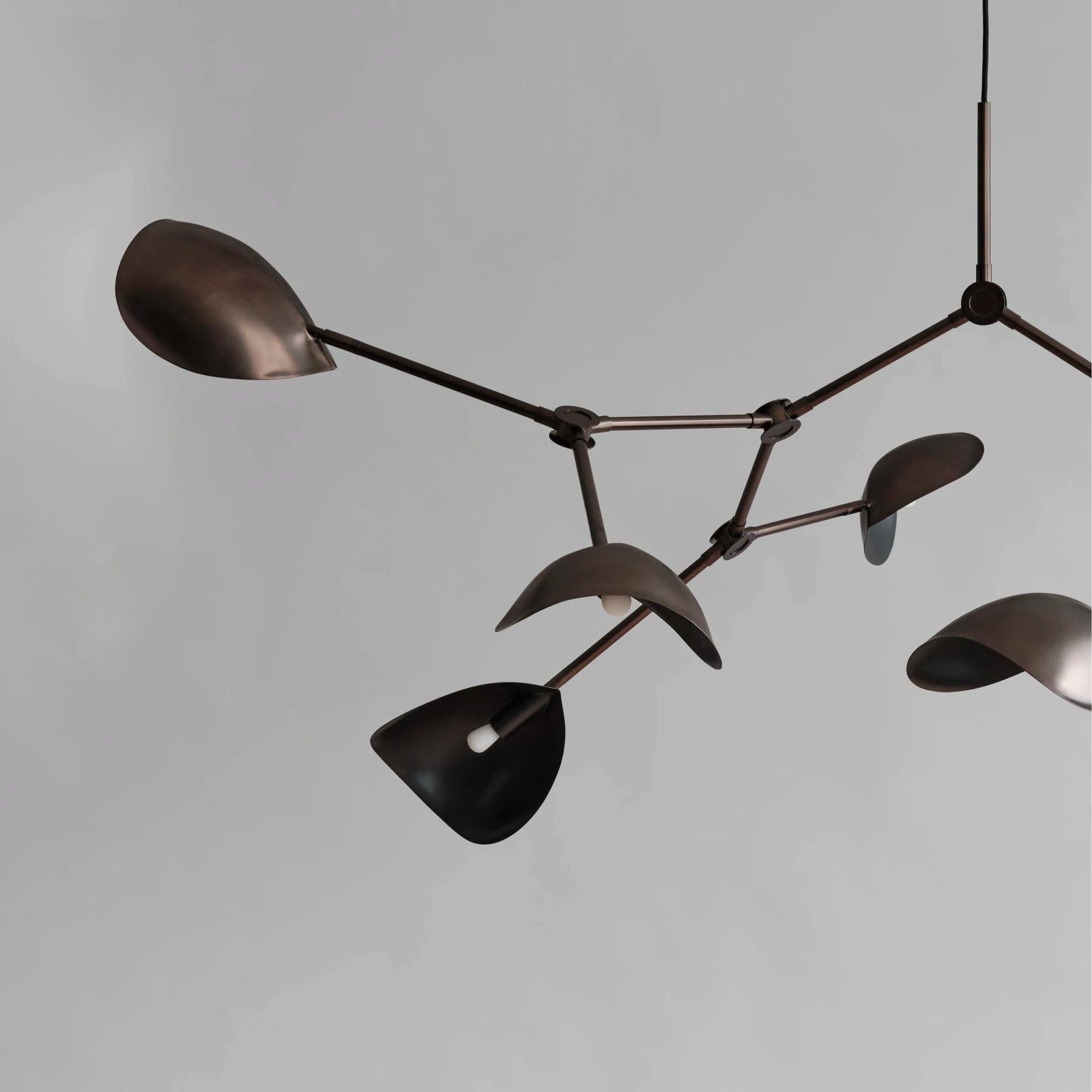 Stingray Grande | Chandelier