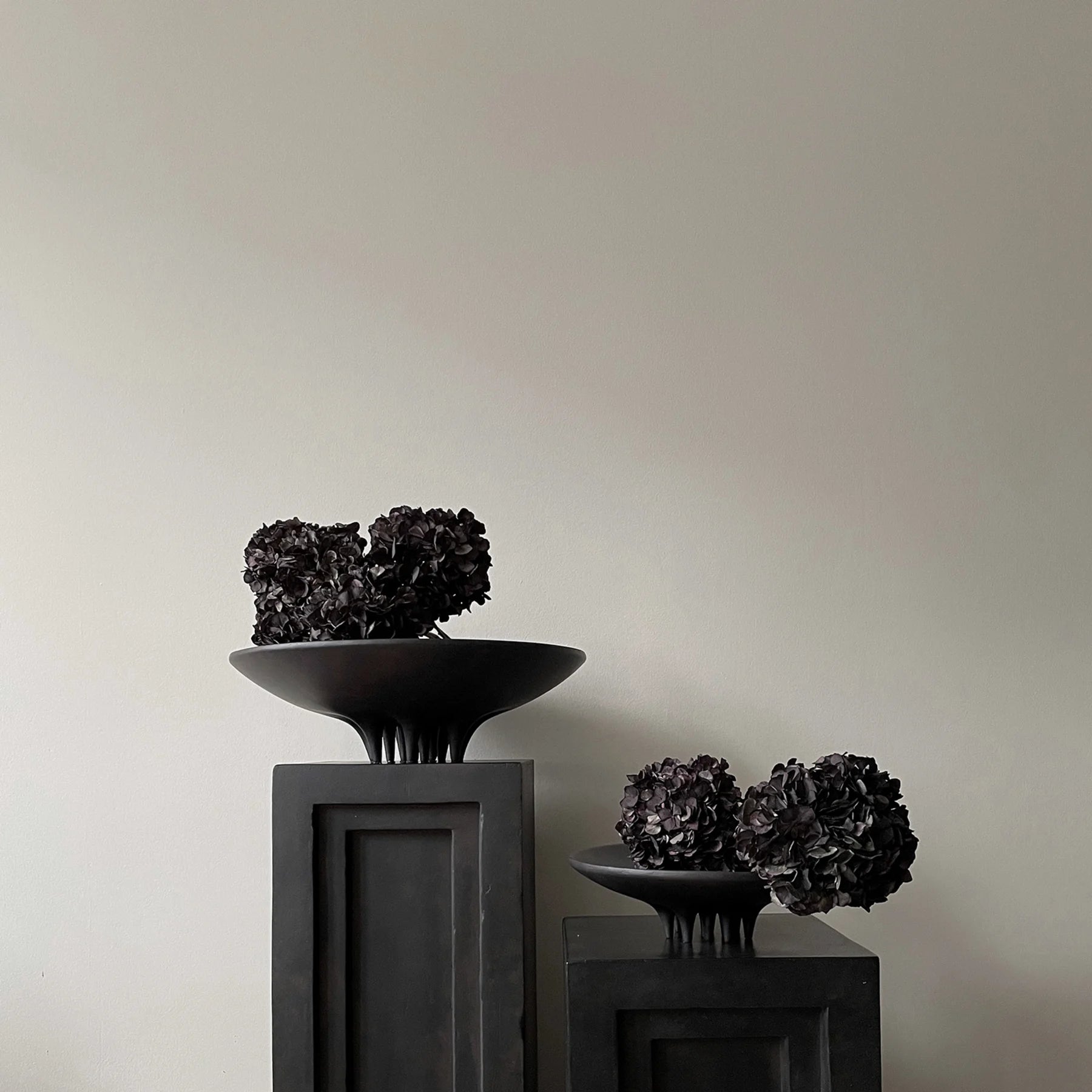 Medusa | Tray Coffee