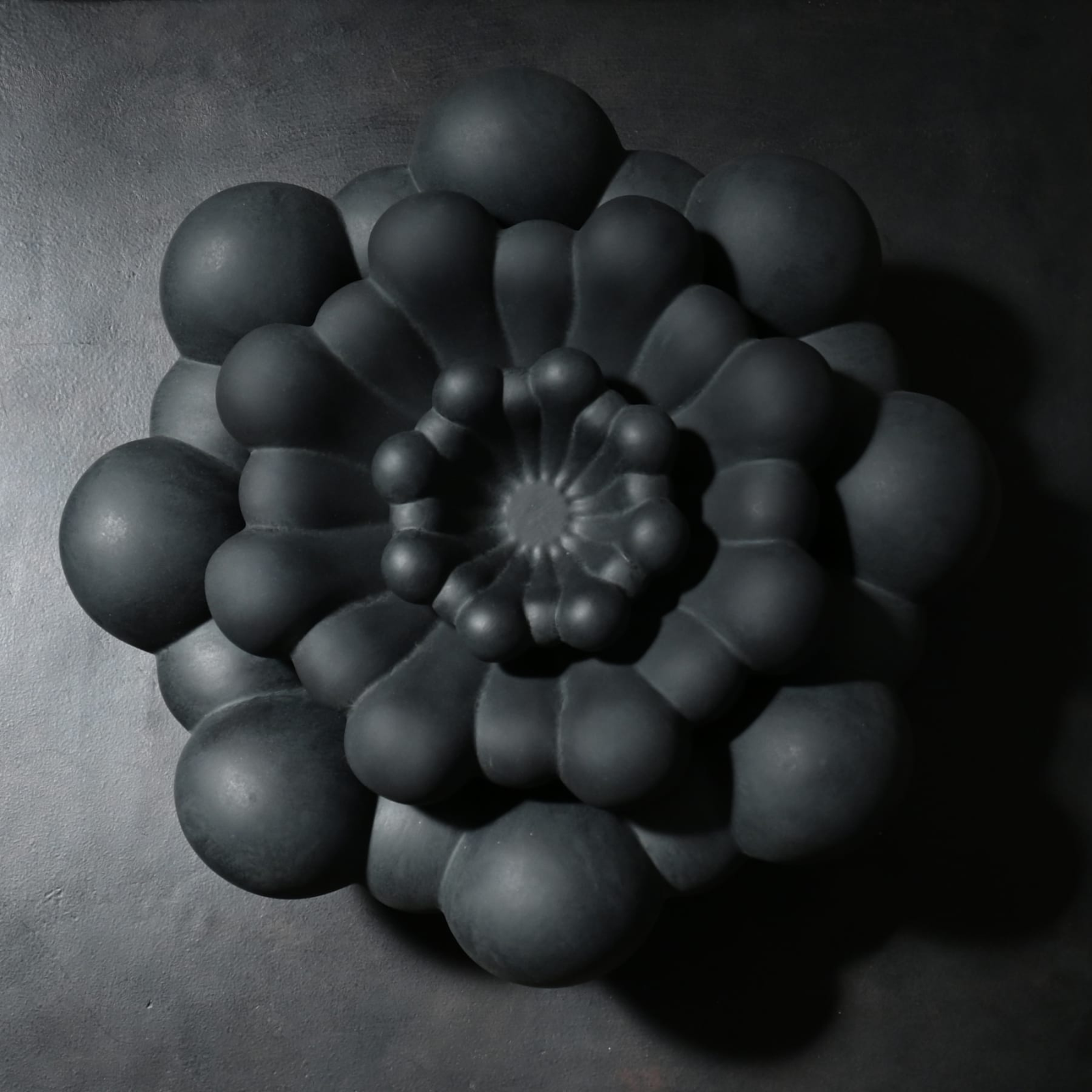 Bloom Tray, Medio, Black