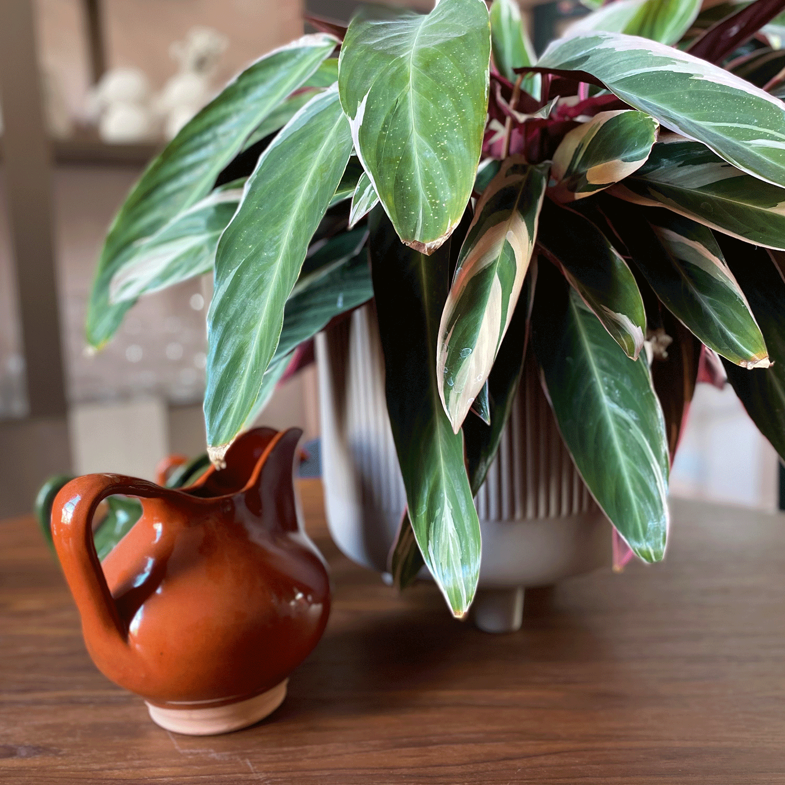 Bowl  (Warehouse Sale)