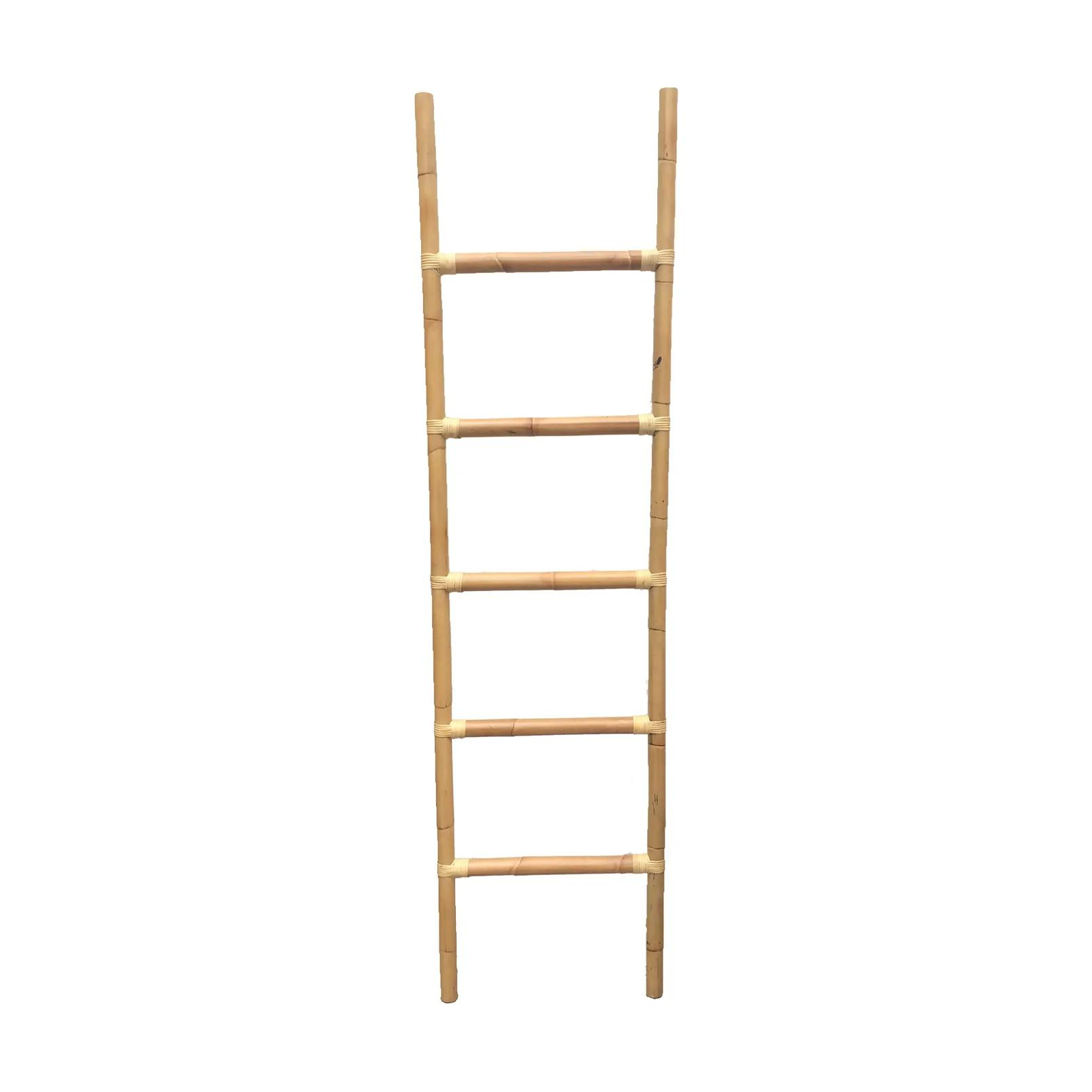 Climb | Ladder