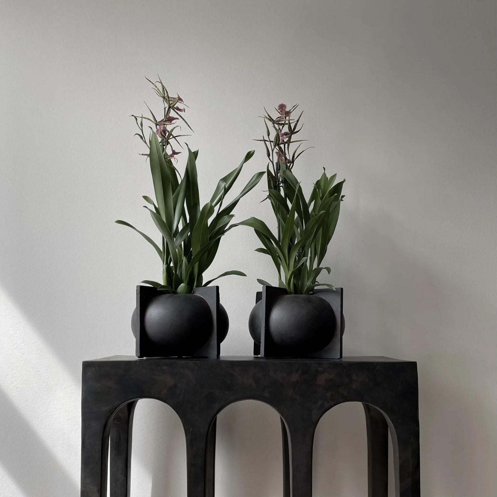 Kyoto Vase Mini | Coffee (Warehouse Sale)