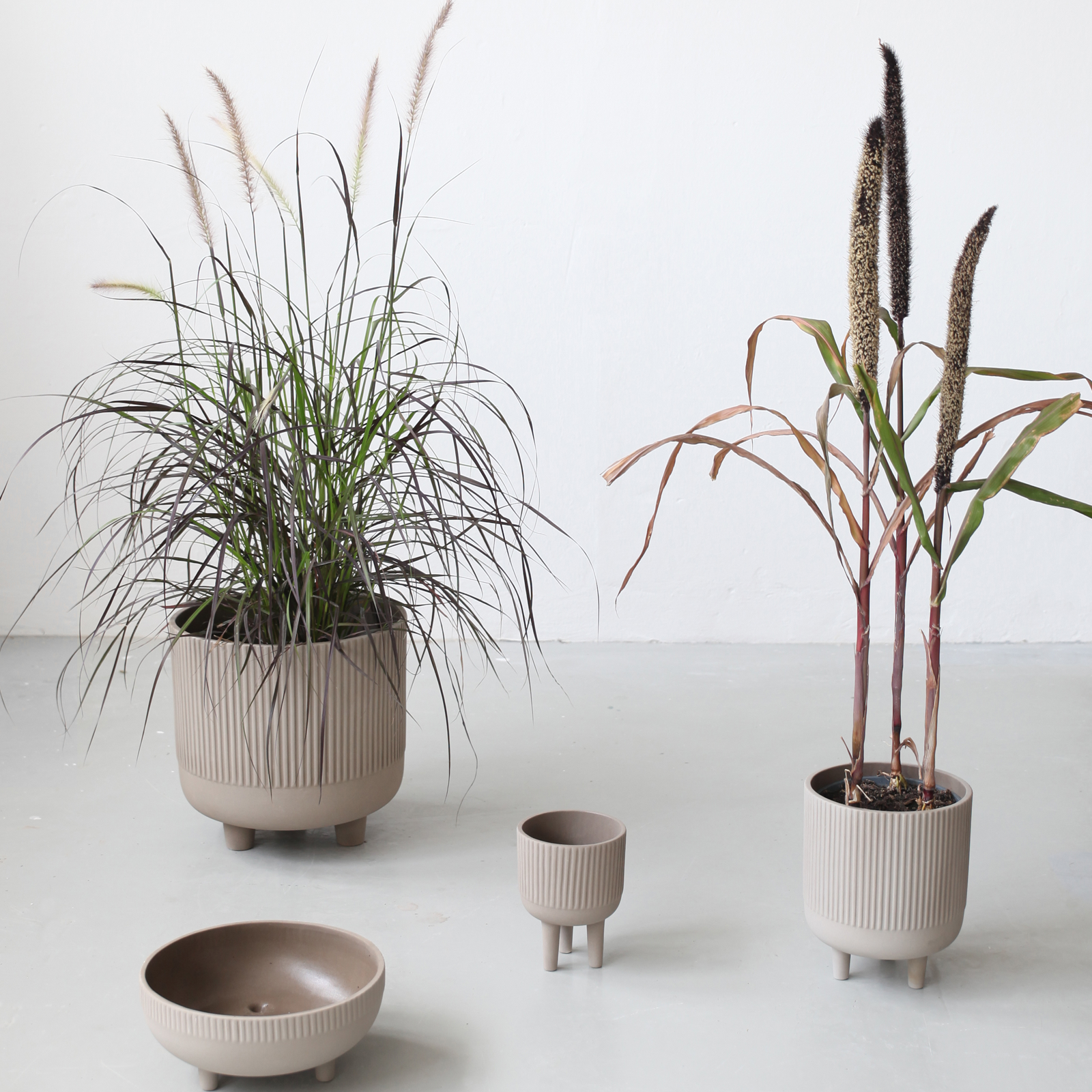 Bowl  (Warehouse Sale)